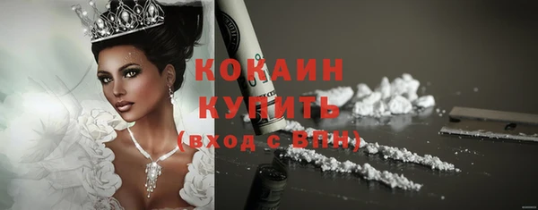 твердый Протвино