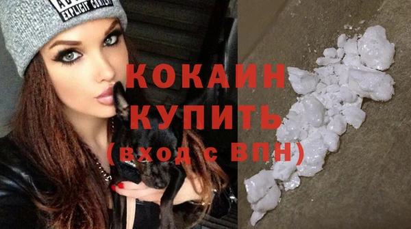 твердый Протвино
