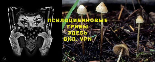 твердый Протвино