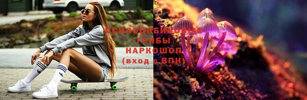 МДПВ Покровск