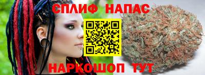 прущие грибы Гусев