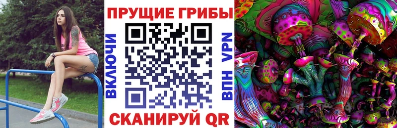 Псилоцибиновые грибы прущие грибы Сибай