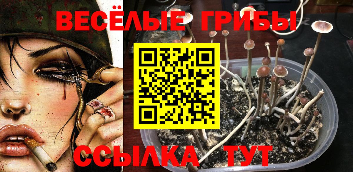 Галлюциногенные грибы Magic Shrooms Сибай